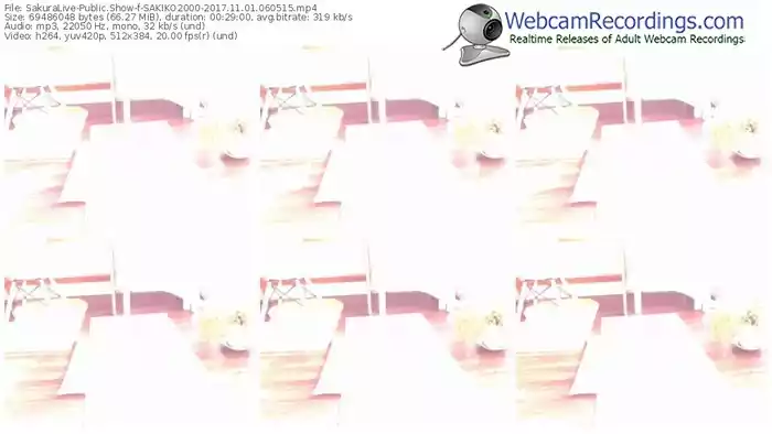 sakuralivejp-sakiko2000-webcam-show-11_01_2017-06_05_15