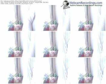sakuralivejp-sayuran-webcam-show-11_01_2017-05_45_15