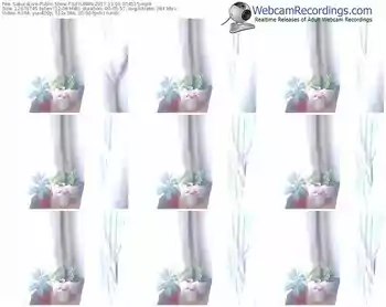 sakuralivejp-sayuran-webcam-show-11_01_2017-05_45_15