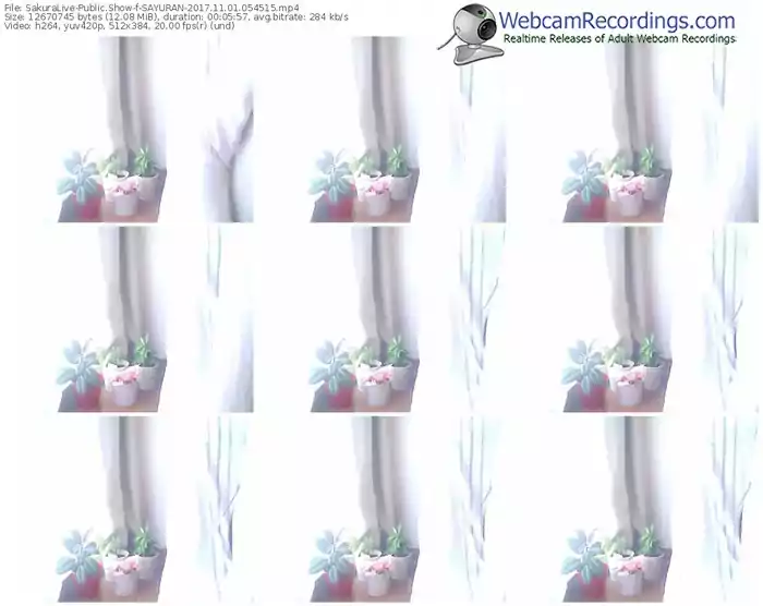 sakuralivejp-sayuran-webcam-show-11_01_2017-05_45_15