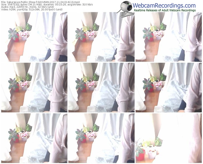 sakuralivejp-sayuran-webcam-show-11_04_2017-01_41_19