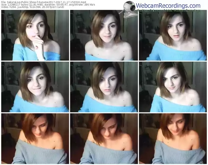 sakuralivejp-suzume2017-webcam-show-11_17_2017-15_33_16