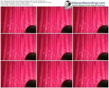 sakuralivejp-ebonygoddes-webcam-show-11_18_2017-21_53_43