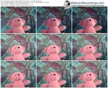 sakuralivejp-rhica15-webcam-show-11_23_2017-02_35_18