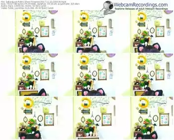 sakuralivejp-noanas-webcam-show-11_23_2017-20_15_36