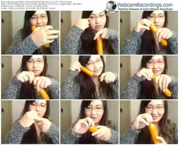 sakuralivejp-minto8783-webcam-show-11_25_2017-17_01_19