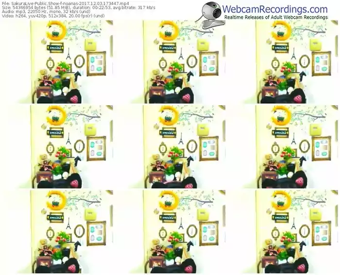 sakuralivejp-noanas-webcam-show-12_03_2017-17_34_47