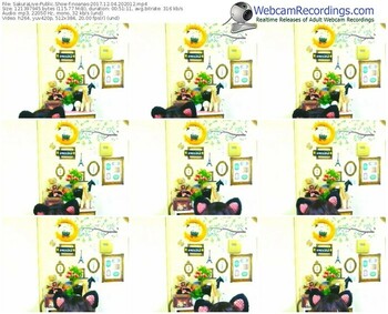 sakuralivejp-noanas-webcam-show-12_04_2017-20_20_12