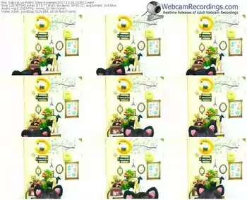 sakuralivejp-noanas-webcam-show-12_04_2017-20_20_12