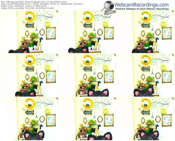 sakuralivejp-noanas-webcam-show-12_04_2017-20_20_12
