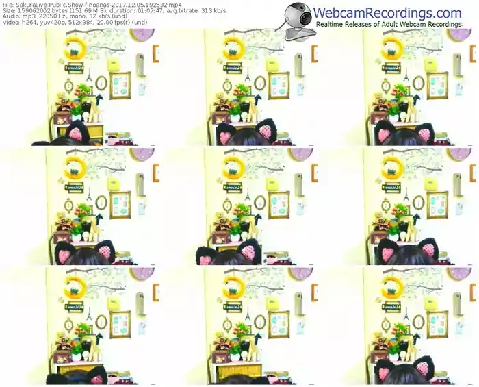 sakuralivejp-noanas-webcam-show-12_05_2017-19_25_32