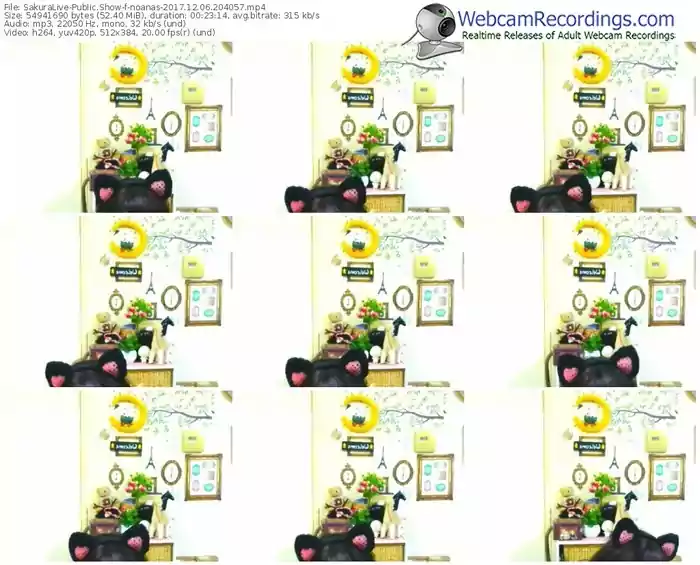 sakuralivejp-noanas-webcam-show-12_06_2017-20_40_57