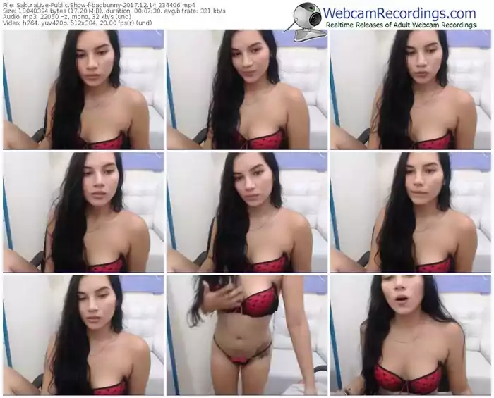 sakuralivejp-badbunny-webcam-show-12_14_2017-23_44_06