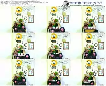 sakuralivejp-noanas-webcam-show-12_14_2017-21_14_03