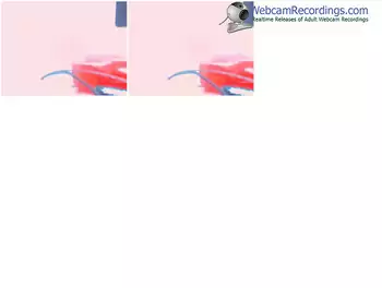 sakuralivejp-sharonlover-webcam-show-12_24_2017-08_37_41