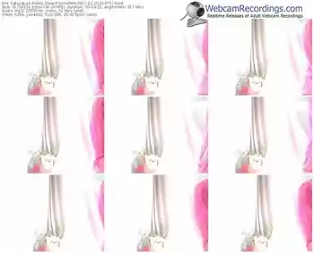 sakuralivejp-sayuran-webcam-show-12_25_2017-01_47_57