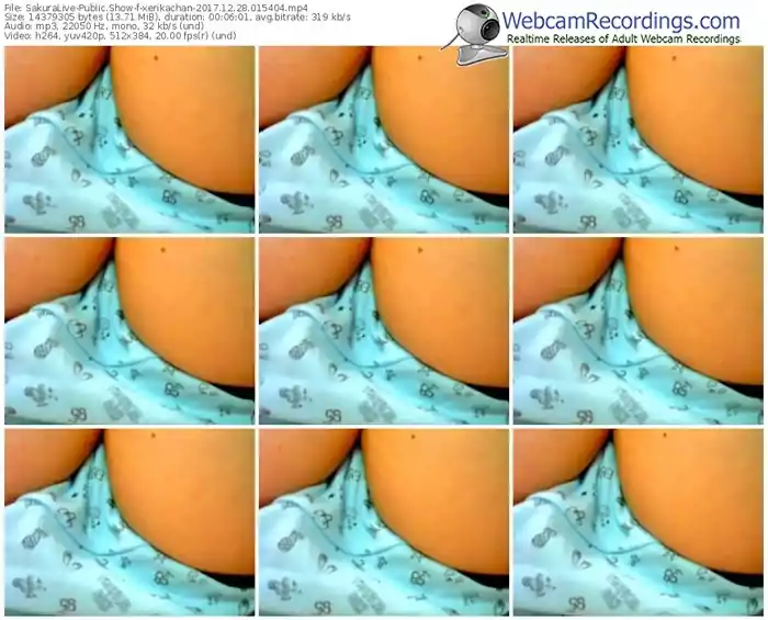 sakuralivejp-xerikachan-webcam-show-12_28_2017-01_54_04