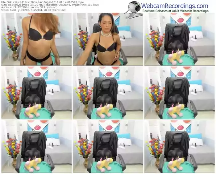 sakuralivejp-arisugar-webcam-show-01_14_2018-01_05_28