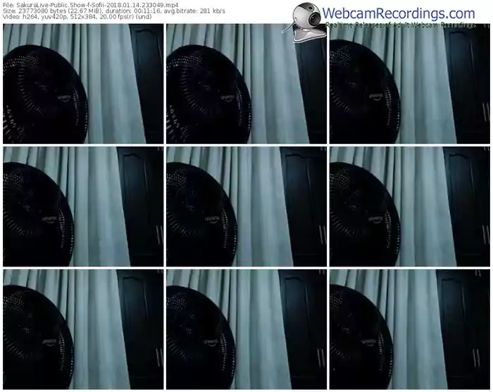 sakuralivejp-sofii-webcam-show-01_14_2018-23_30_49