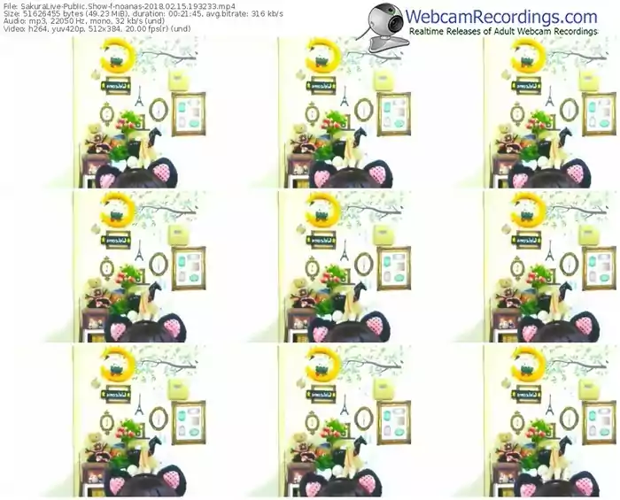 sakuralivejp-noanas-webcam-show-02_15_2018-19_32_33