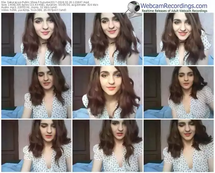 sakuralivejp-suzume2017-webcam-show-02_20_2018-12_38_47
