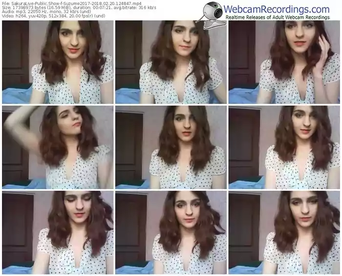 sakuralivejp-suzume2017-webcam-show-02_20_2018-12_48_47