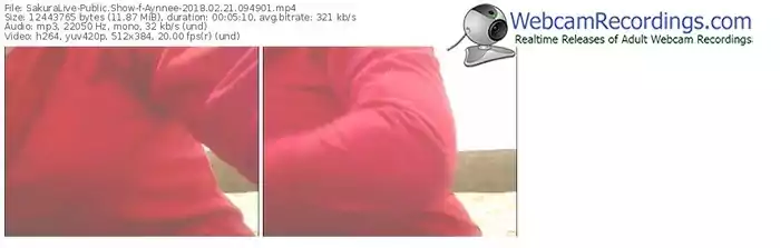 sakuralivejp-aynnee-webcam-show-02_21_2018-09_49_01