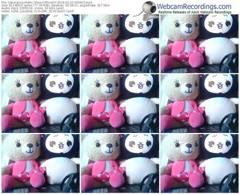 sakuralivejp-rhica15-webcam-show-02_22_2018-02_09_15