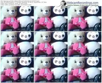 sakuralivejp-rhica15-webcam-show-02_22_2018-02_09_15