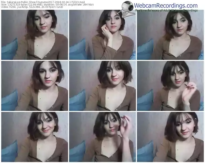 sakuralivejp-suzume2017-webcam-show-02_24_2018-17_10_13