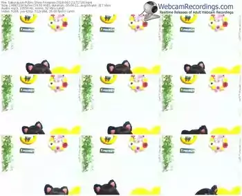 sakuralivejp-noanas-webcam-show-06_12_2018-17_17_20