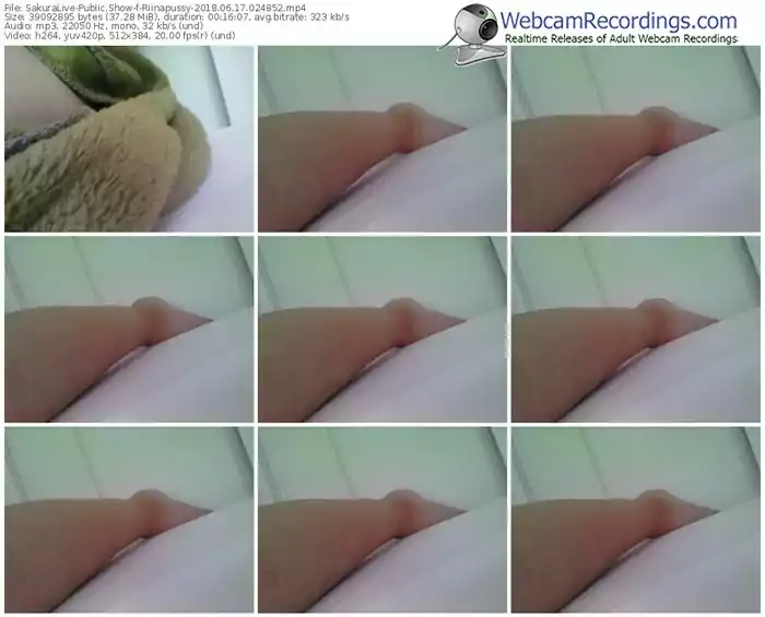 sakuralivejp-riinapussy-webcam-show-06_17_2018-02_48_52