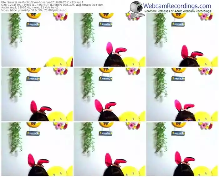 sakuralivejp-noanas-webcam-show-08_07_2018-11_42_24