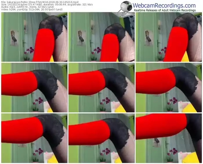 sakuralivejp-torywild-webcam-show-09_30_2018-16_52_16