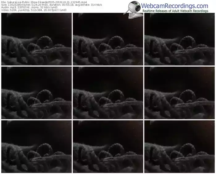 sakuralivejp-kaede0505-webcam-show-10_21_2018-13_29_45