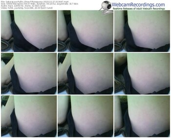 sakuralivejp-riinapussy-webcam-show-10_27_2018-01_36_47