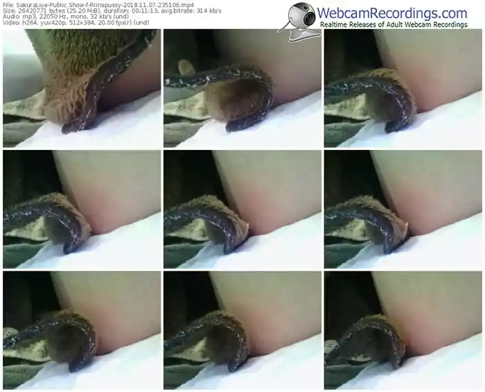 sakuralivejp-riinapussy-webcam-show-11_07_2018-23_51_06