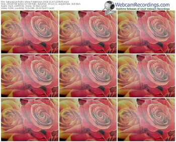 sakuralivejp-dakkoojo-webcam-show-11_07_2018-22_06_05