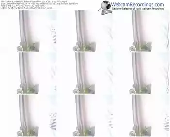 sakuralivejp-sayuran-webcam-show-11_13_2018-01_32_55