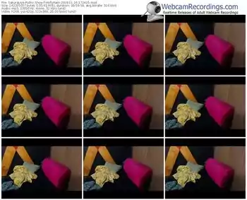 sakuralivejp-hollyrain-webcam-show-11_16_2018-17_24_15