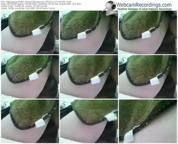 sakuralivejp-riinapussy-webcam-show-11_17_2018-05_19_27