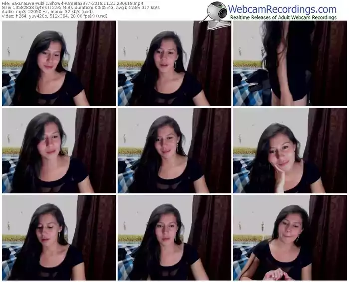 sakuralivejp-pamela3377-webcam-show-11_21_2018-23_06_18
