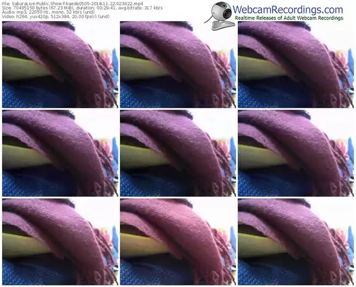 sakuralivejp-kaede0505-webcam-show-11_22_2018-02_36_22