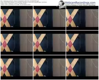 sakuralivejp-hollyrain-webcam-show-01_13_2019-04_06_38