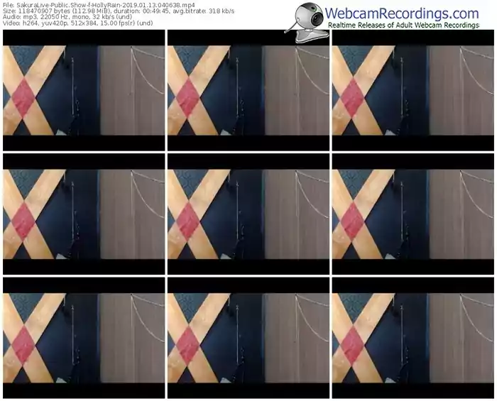 sakuralivejp-hollyrain-webcam-show-01_13_2019-04_06_38