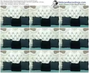 sakuralivejp-tanialoren-webcam-show-01_14_2019-02_01_58