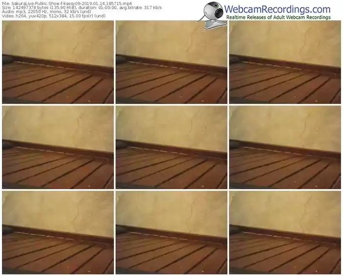 sakuralivejp-kassy09-webcam-show-01_14_2019-18_57_15