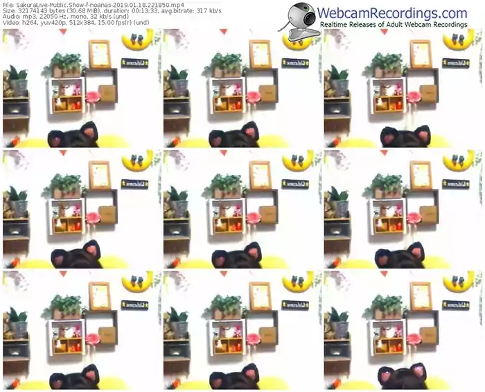 sakuralivejp-noanas-webcam-show-01_18_2019-22_18_50