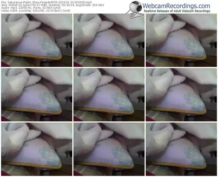 sakuralivejp-kaede0505-webcam-show-01_23_2019-00_20_29