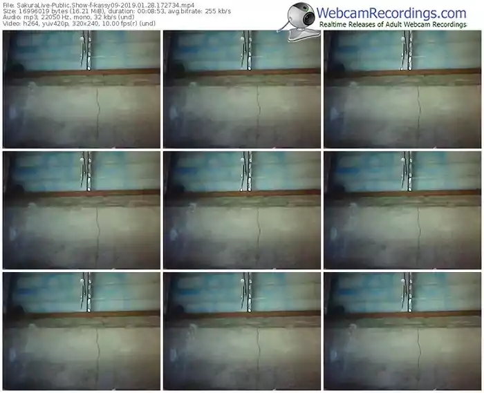 sakuralivejp-kassy09-webcam-show-01_28_2019-17_27_34